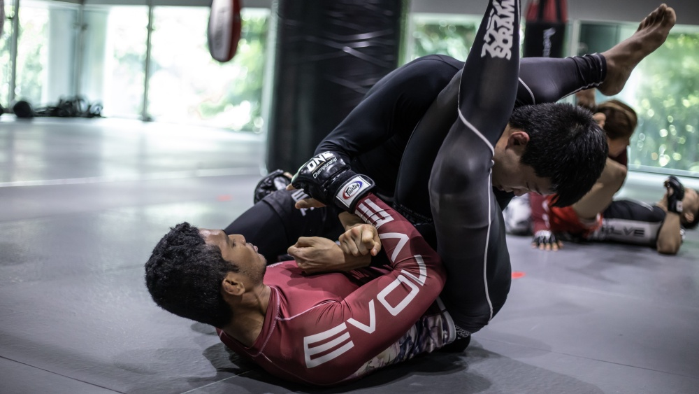 Grappling martial arts training