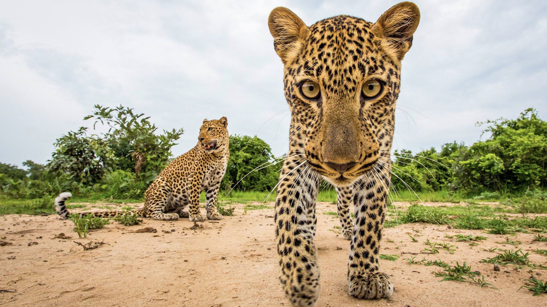 Wildlife photography submission
